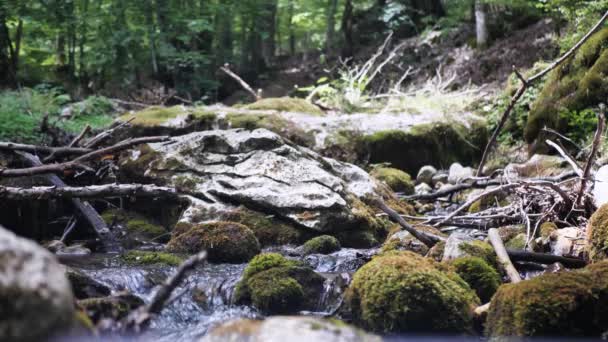 Wasser fließt in Felsen in wildem Gebirgsfluss. — Stockvideo