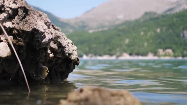 Bir adam bir teknede kürek çekiyor, kıyıdan geçiyor. — Stok video