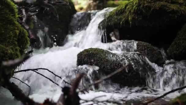 野生山河流经石柱 — 图库视频影像