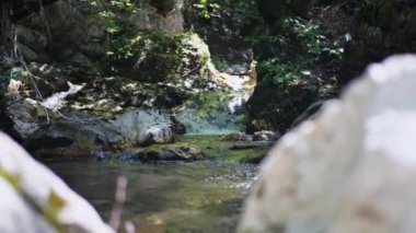 Dağ nehri yağmur ormanlarında akıyor. Bitmek bilmeyen meditasyon videoları, tropikal egzotik orman ormanlarında akış. Ormanın derinliklerindeki dereler taşların arasında akıyor. Şelale şelaleleri, yeşillikler ve ağaçlar. Kusursuz döngü