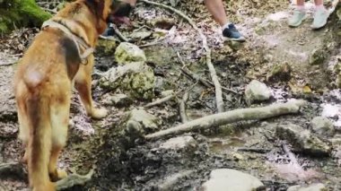 Turistler dağlardaki su birikintisinden atlarlar.
