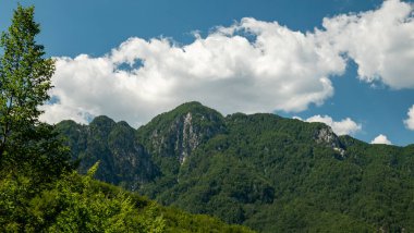 Ormanda yürüyen yürüyüşçülerin dikiz aynasından yakından bakın. Güneşli ormanda aktif yürüyüş, açık hava tatilinin tadını çıkarmak. Doğada seyahat eden insanlar kavramı.