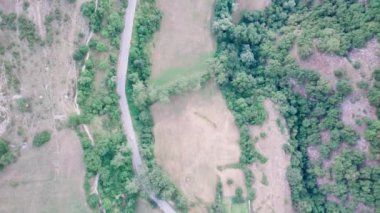 Akşamları alacakaranlıkta ormanda 4K 'lık havadan beyaz araba manzarası. Çam ağacı ormanlarında çakıl yolu üzerinde uçan insansız hava aracı görüntüsü.