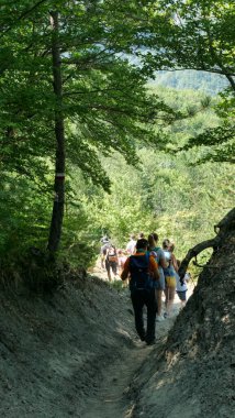 Ormanda yürüyen yürüyüşçülerin dikiz aynasından yakından bakın. Güneşli ormanda aktif yürüyüş, açık hava tatilinin tadını çıkarmak. Doğada seyahat eden insanlar kavramı