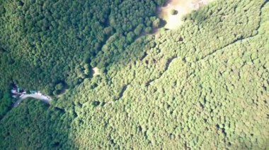 İnsansız hava aracı ormanda dönüyor..