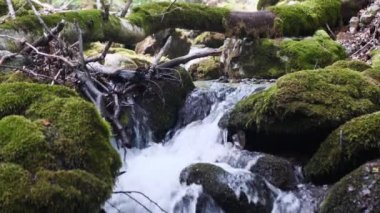 Vahşi Dağ Nehri taş kayalar ve taş akıntılarıyla akıyor. Creek 'te hızlı su sıçratma. Ağır çekim. Kışın dağ deresi. Bolluk Temiz Akış