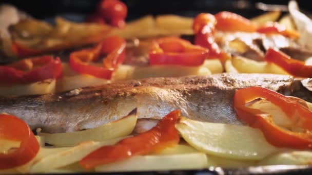 Ryby z warzywami czerwona papryka i ziemniaki w piekarniku. — Wideo stockowe