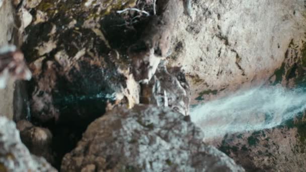 Cascada pequeña, vídeo vertical. Cascadas de cascada, vegetación y árboles. Lazo sin costura — Vídeo de stock