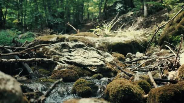 Прекрасные пресноводные пороги водопады реки — стоковое видео