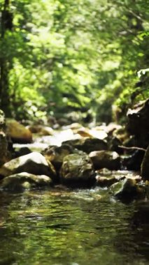 Dağ nehri yağmur ormanlarında akıyor. Bitmek bilmeyen meditasyon videoları, tropikal egzotik orman ormanlarında akış. Ormanın derinliklerindeki dereler taşların arasında akıyor. Şelale şelaleleri, yeşillikler ve ağaçlar. Kusursuz döngü