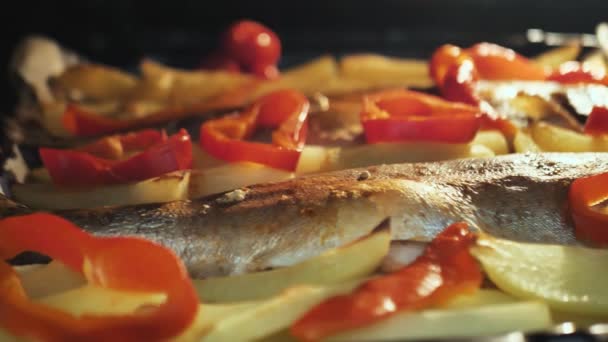 Fish with vegetables red peppers and potatoes in the oven. — Stock Video
