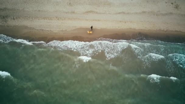 Flygfoto. man med hund promenader på stranden — Stockvideo