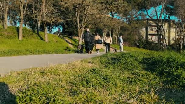 Grupo de personas paseando con perros en el parque — Vídeos de Stock