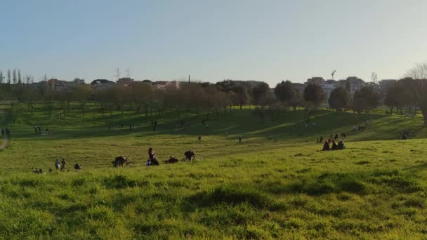 Pessoas no parque de primavera, grama verde — Vídeo de Stock