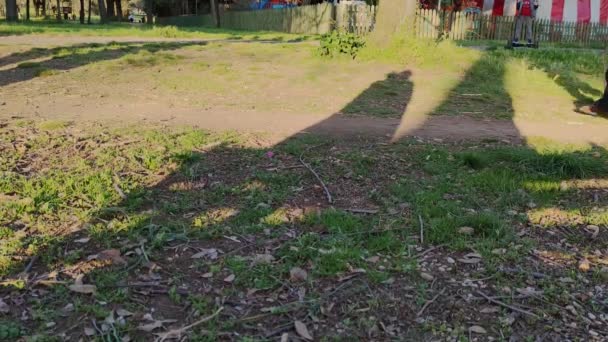 Groep mensen die met honden wandelen in het park — Stockvideo