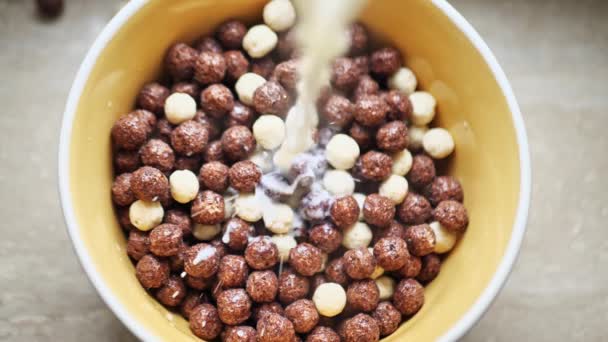 Chocolate flakes pour milk. close up — Stock Video