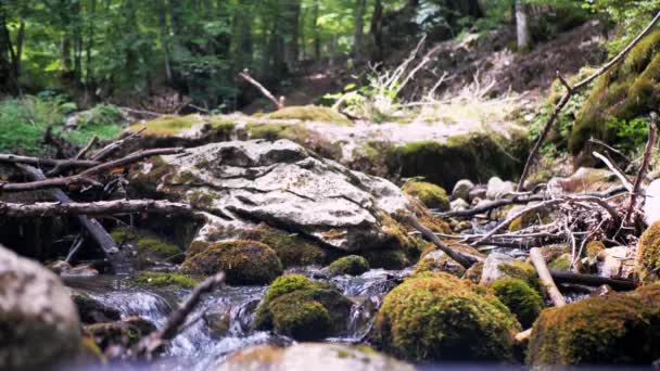Wunderbare Süßwasser Stromschnellen Wasserfälle Fluss fließt — Stockvideo