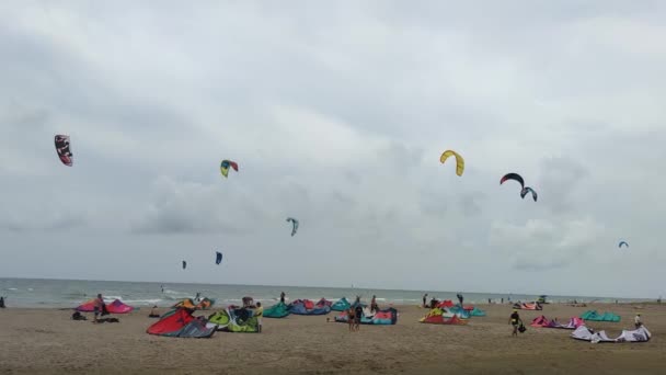 Kite surfistas apreciando o vento e ondas — Vídeo de Stock