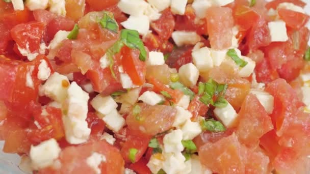 Close up shot of basil tomato salad with mozzarella stir with spoon — Stock Video