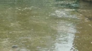 Yağmur, su birikintileri. Yağmur yağıyor. Su damlaları. Yağmur fırtınası. Şiddetli yağmur damlaları, yağmur fırtınası sırasında su birikintilerine ve kabarcıklara düşer. Yakın plan. Şiddetli yağmur yağıyor..