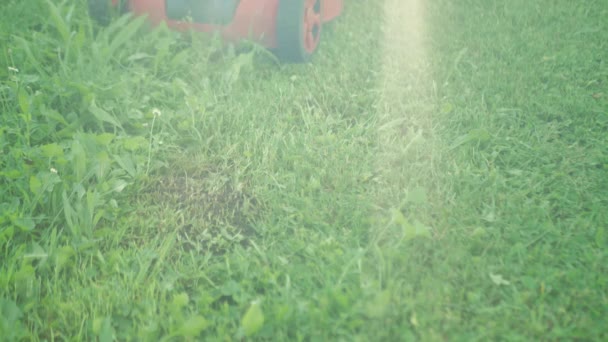 近距离拍摄一个男人在后院用电动割草机割草。慢动作 — 图库视频影像