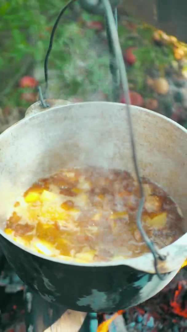 La carne y la cebolla se guisan en un caldero en una salsa, cocinando en una olla de hierro fundido. vídeo vertical — Vídeo de stock