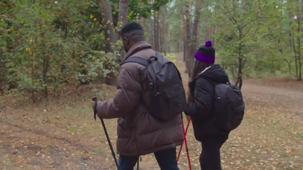 Interraciaal koppel met rugzakken trekking in hout — Stockvideo