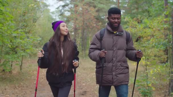 Backpackers s trekking tyče procházky ve dřevě — Stock video