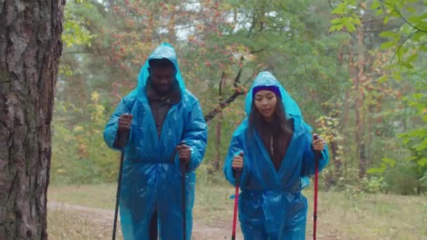 Casal turistas em capas impermeáveis trekking na floresta — Vídeo de Stock