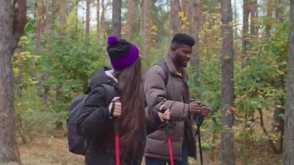 Пішохідний чоловік і жінка під час походу по лісу — стокове відео