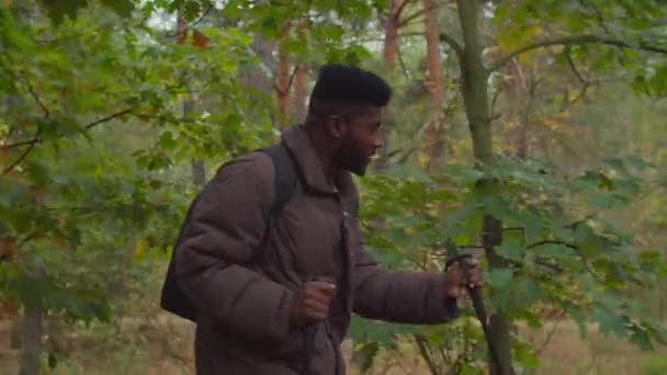 Afrikaanse mannelijke reiziger wandelen in de herfst bos — Stockvideo