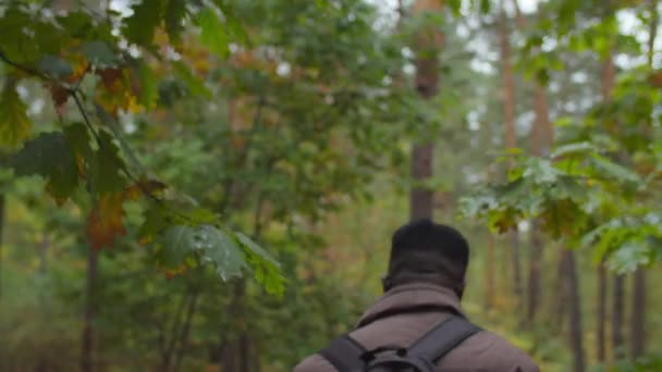 Back view of black backpacker on adventure trek — Stock Video