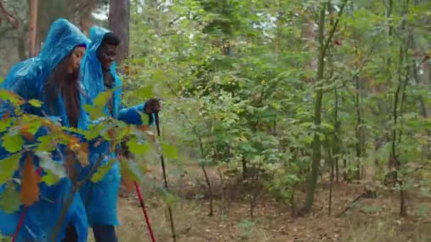 Escursioni coppia in impermeabili zaino in spalla nella natura — Video Stock