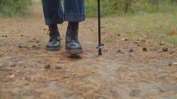 Πεζοπόρος με πασσάλους πεζοπορίας περπατώντας στο δασικό μονοπάτι — Αρχείο Βίντεο