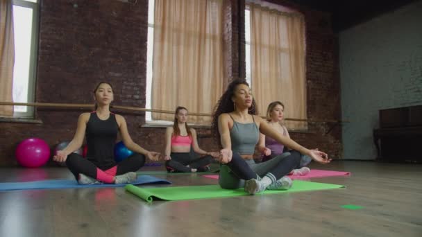 Relaxed diverse women meditating in lotus pose — Stock Video