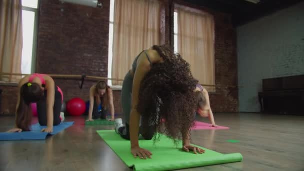 Mulheres multirraciais praticando pose de ioga gato-vaca — Vídeo de Stock