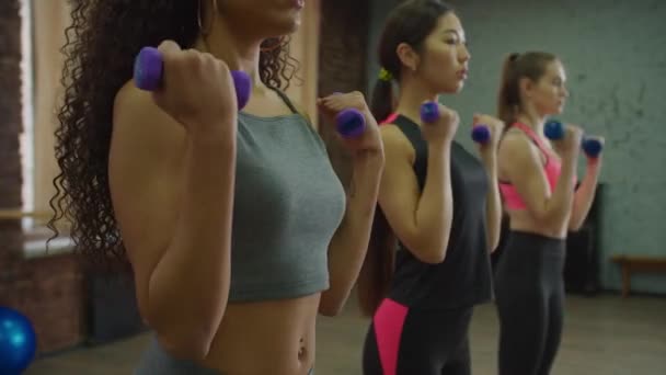 Diversas mulheres se encaixam fazendo musculação no ginásio — Vídeo de Stock