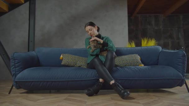 Gondoskodó női kisállat tulajdonos simogató tabby macska kanapén — Stock videók