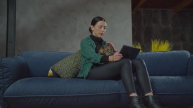 Evcil hayvan sahibi evde mırlayan kediye sevgi gösteriyor.