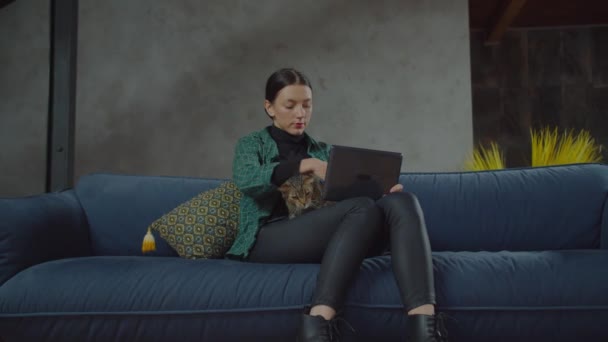 Γυναίκα με tabby γάτα και tablet pc χαλαρώνοντας στον καναπέ — Αρχείο Βίντεο