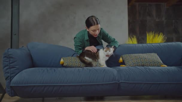 Caring pet owner with one eyed cat bonding on couch — Stock Video