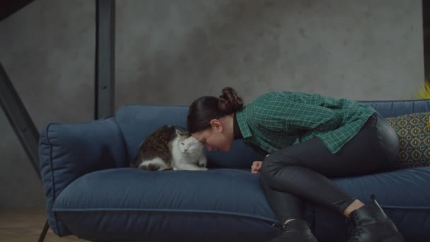 Właściciel delikatnie uderza głową ładny kot z rannym okiem — Wideo stockowe