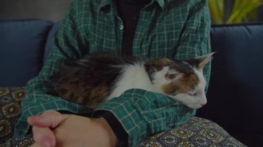 Sahiplerinin kolunda yaralı gözlü şirin bir kedi var.