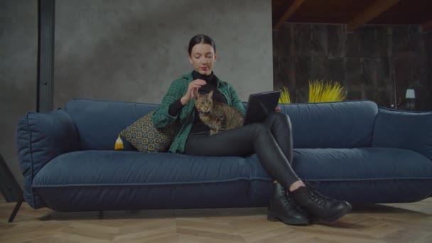 Loving pet owner with cat networking online indoors — Stock video