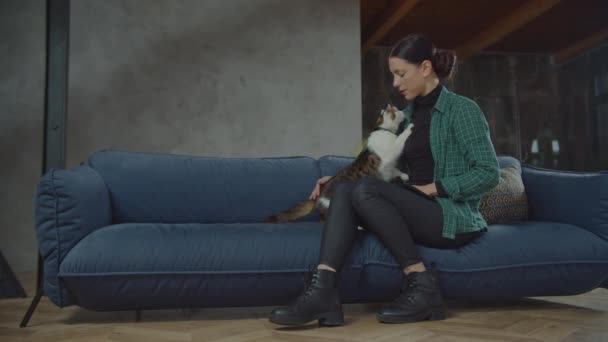 Amante mulher proprietário petting bonito um olho gato dentro de casa — Vídeo de Stock