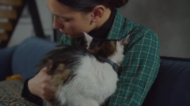 Mujer cariñosa mostrando sentimiento cálido a gato adoptado — Vídeo de stock