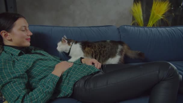 Fêmea pet proprietário ligação com um olho gato no sofá — Vídeo de Stock