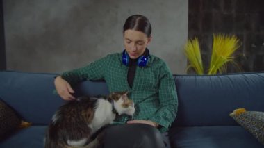 Sevimli evcil hayvan sahibi kanepede evcil kedilerle bağ kuruyor.