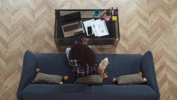 Nero donna imprenditrice lavoro in casa ufficio — Video Stock