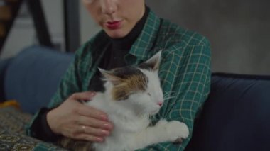 Evlatlık edinilmiş tek gözlü kedi evcil hayvan sahibiyle sosyalleşiyor.